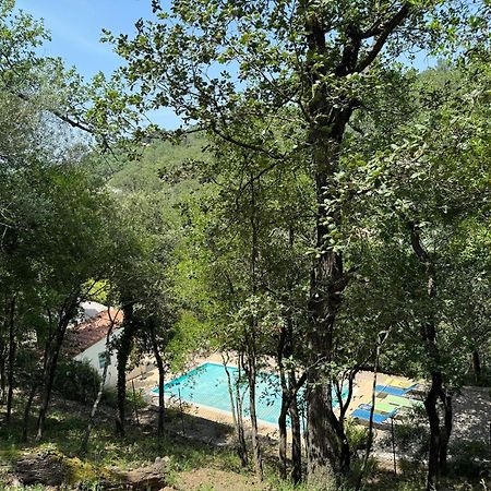 Maison Avec Piscine Chauffee Entre Mer Et Montagne Montauriol  Ngoại thất bức ảnh